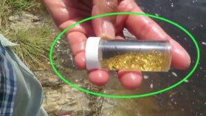 Cómo saber si hay oro en un río
